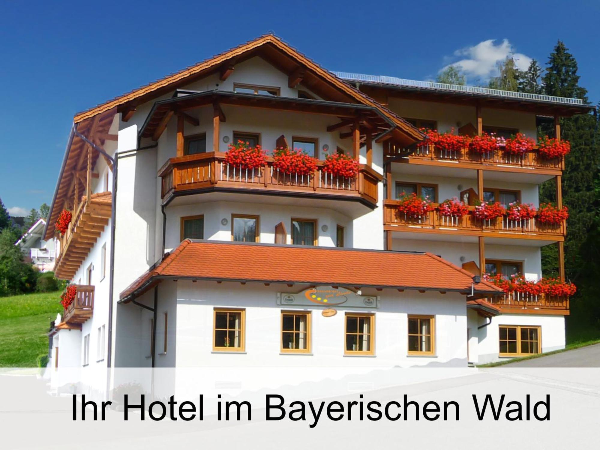 Garnihotel Zur Linde - Bayerischer Wald - Aktivcard Mit 154 Kostenfreien Leistungen - Kostenloser Parkplatz Lohberg Exterior photo